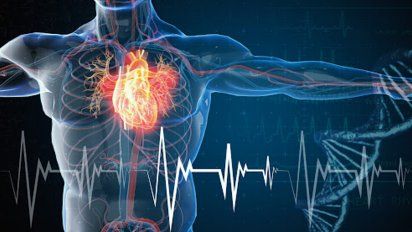 ¿Cuáles son los factores de riesgo cardiovasculares no convencionales?