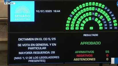 El Senado convirtió en ley el proyecto que declara la emergencia en Discapacidad