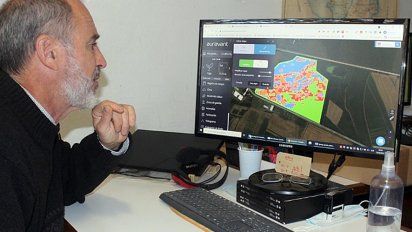 Un algoritmo ayuda a calcular la dosis óptima de nitrógeno en trigo