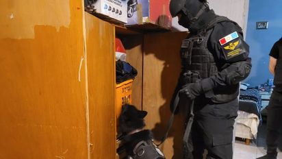 FPA incautó cocaína y marihuana tras un operativo al norte de la ciudad de Córdoba