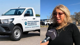 APARC reclama la camioneta destinada a emergencias animales. En diálogo con Puntal, María Fernanda Pirovano explicó los pedidos de la asociación al Municipio.