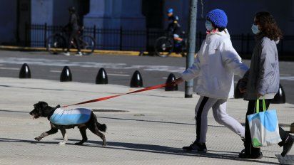 Coronavirus: Argentina reportó este lunes 503 muertes y 10.180 contagios