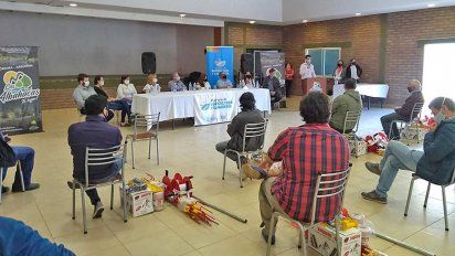 Son 240 mil las hectáreas declaradas zonas en desastre agropecuario
