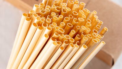 Algunos de los inventos sostenibles argentinos más interesantes