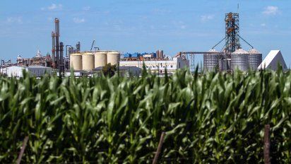 En dólares, el precio del etanol cayó un 50 por ciento en sólo 3 años