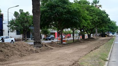 Parque Lineal Sustentable:  ya avanza sobre bulevar Vélez Sarsfield