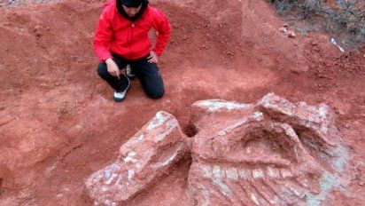 Descubrieron restos de un dinosaurio gigante en la provincia de San Juan