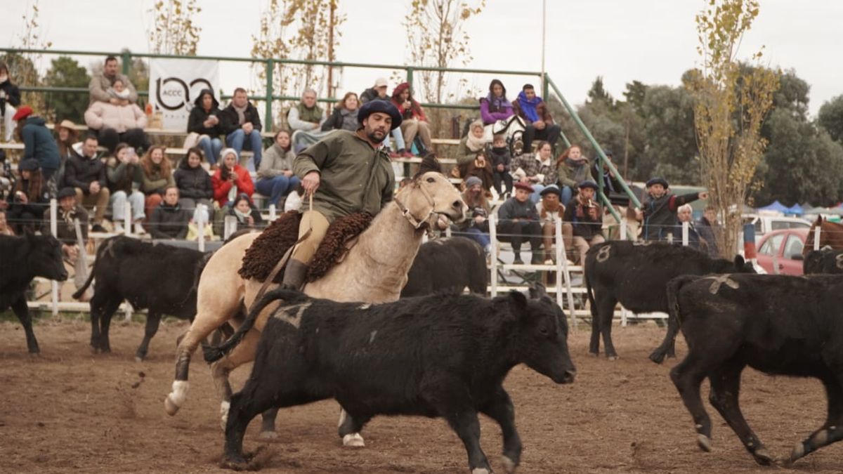 El cierre de la Exposición de Otoño de la Sociedad Rural de Río Cuarto. Foto: Andrés Oviedo