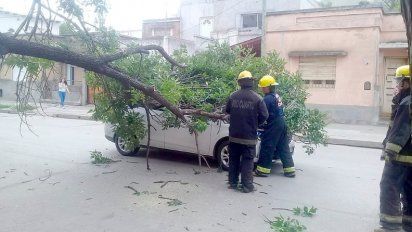 Se desprendió una rama sobre un auto en el macrocentro