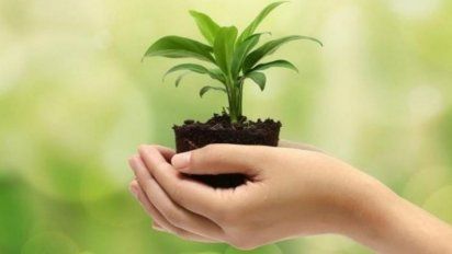 Hoy es Día Mundial del Medio Ambiente: ¿Cómo cuidar el Planeta?