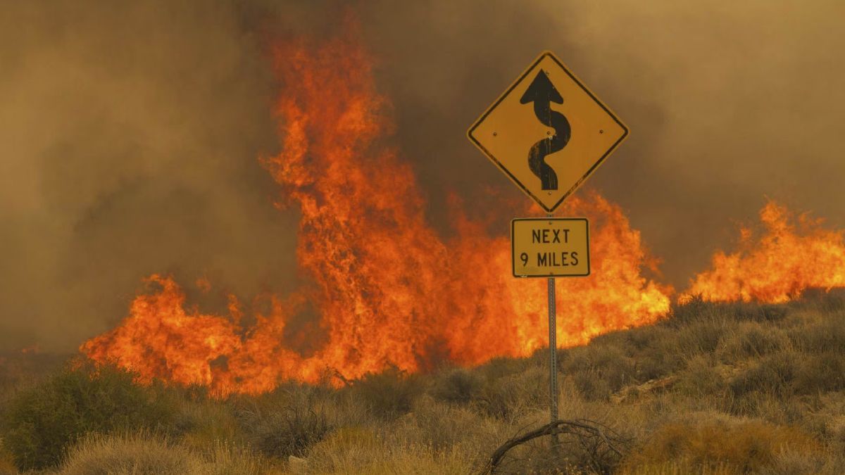 California: Un masivoincendio fuera de control arrasó desde comienzos de semana la reserva naturalde Mojave