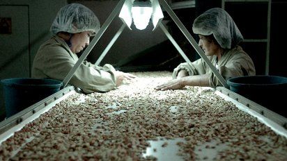 Industria láctea, maquinaria, maní  y alimentos le escapan a la crisis