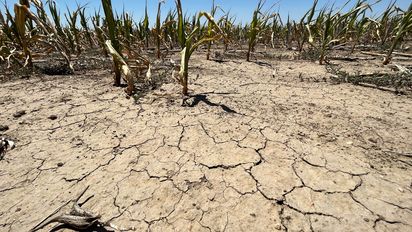 El riesgo de sequía se incrementó en diciembre y alcanza a 175 millones de hectáreas