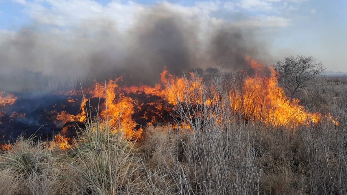 Las condiciones climáticas generan riesgo extremo de incendios forestales.