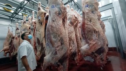 Aseguran que con el nuevo sistema de comercialización de carne se eliminarán distorsiones