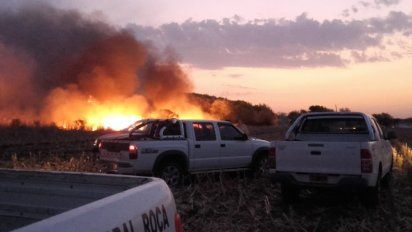 Villa Huidobro:  investigan un incendio que afectó 200 hectáreas de bosque nativo